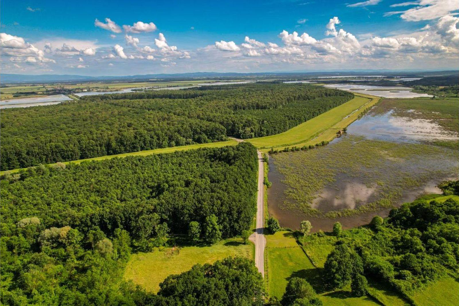 Aerial drone photograph of a wetland floodplain, river channel, and access road — the kind of site Farm Flow monitors with drones and environmental monitoring dashboards